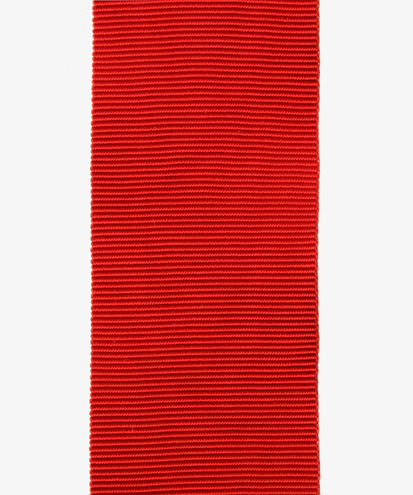 Saxony - Weimar, House Order of Vigilance or of the White Falcon, Knight's Cross, Silver Cross of Merit, Civil Merit Medal (13)
